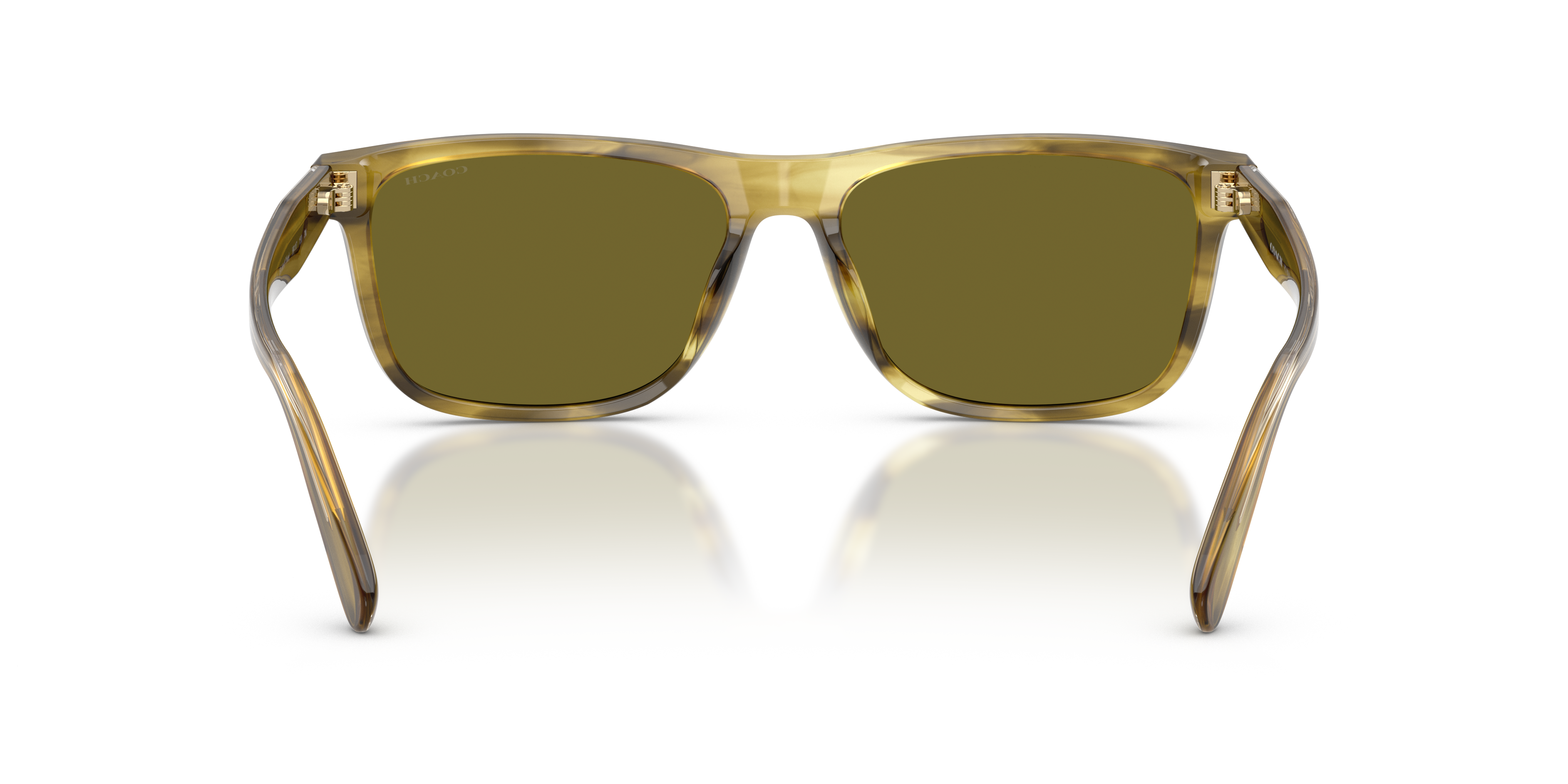 Coach HC8454U 5945/2 Cdp55 